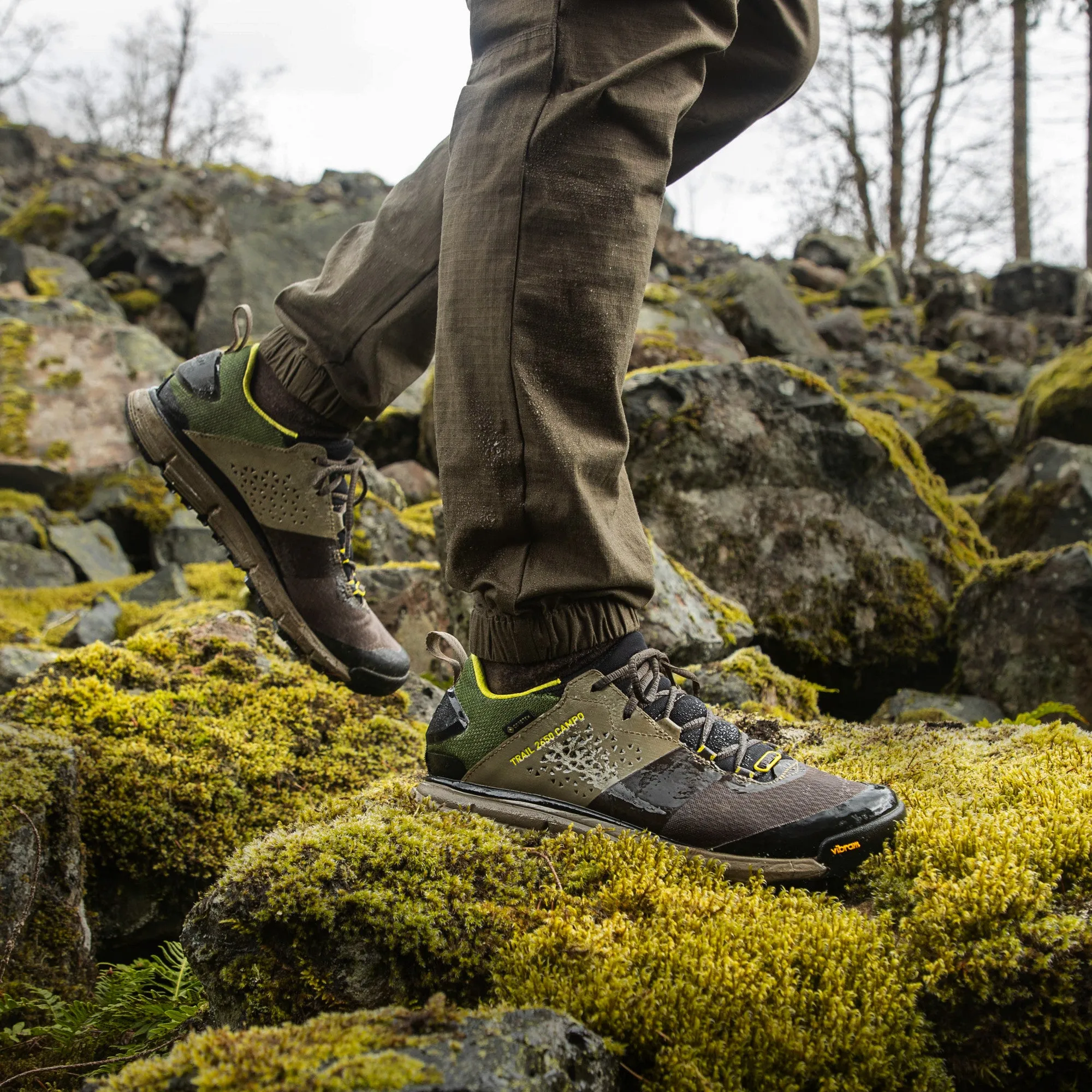 Danner Men's Trail 2650 Campo GTX 3" WP Hiking Shoe - Brown - 68963