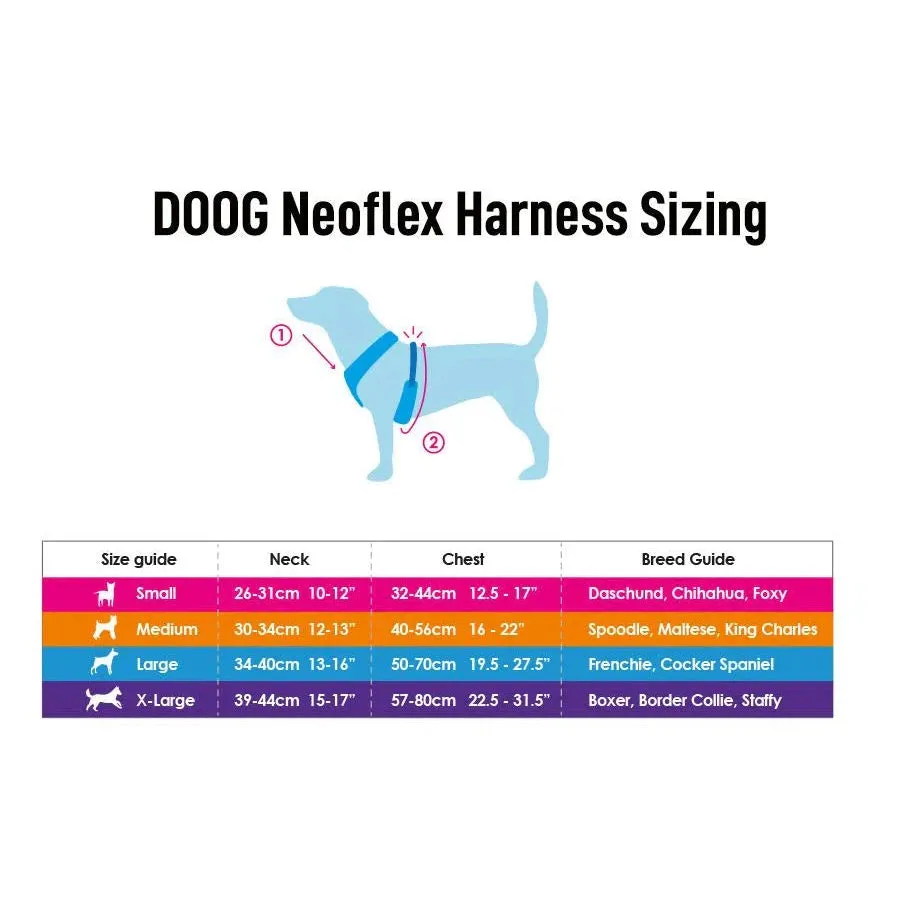 DOOG Neoflex Neoprene Beethoven Neon Blue and Orange Dog Harness Small