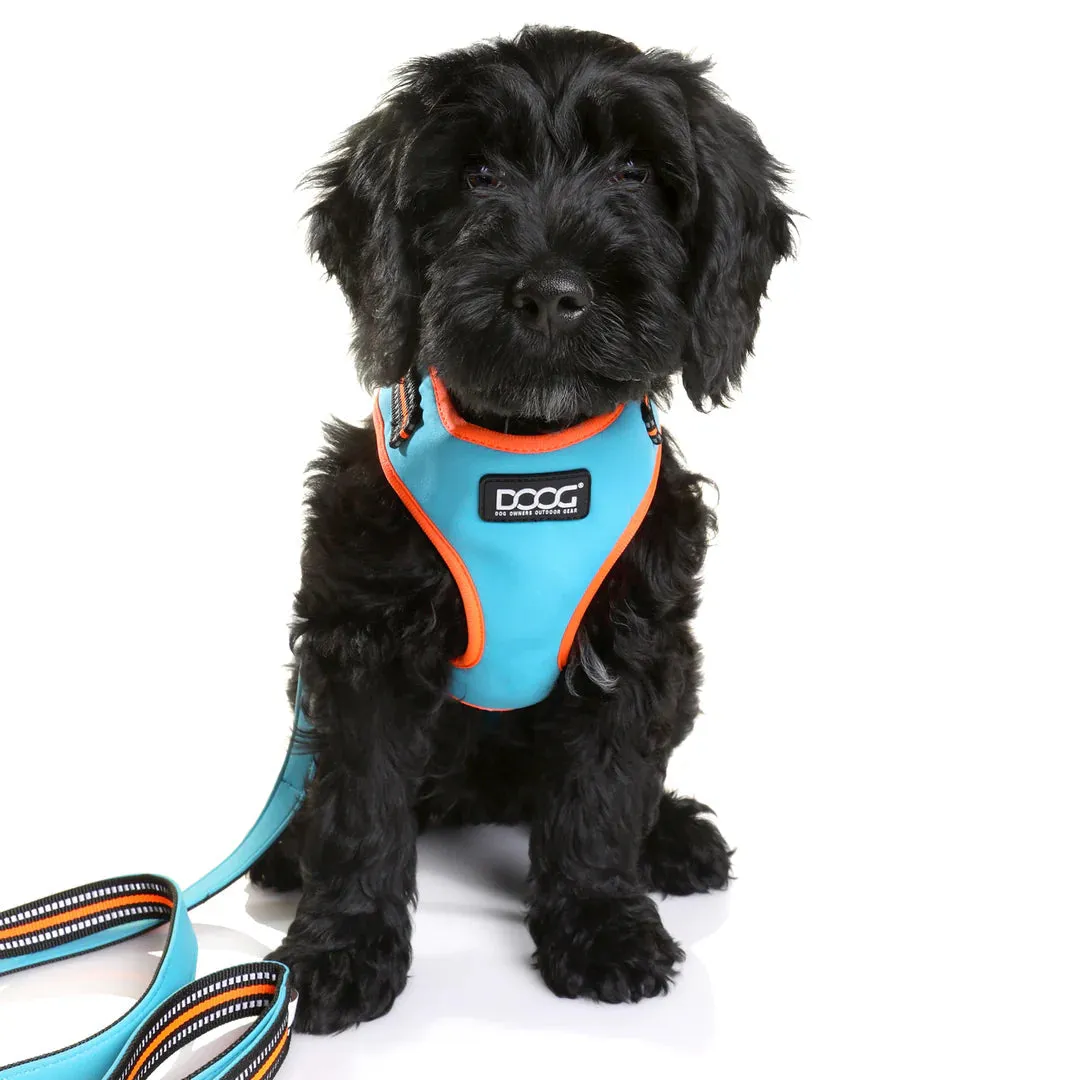 DOOG Neoflex Neoprene Beethoven Neon Blue and Orange Dog Harness Small