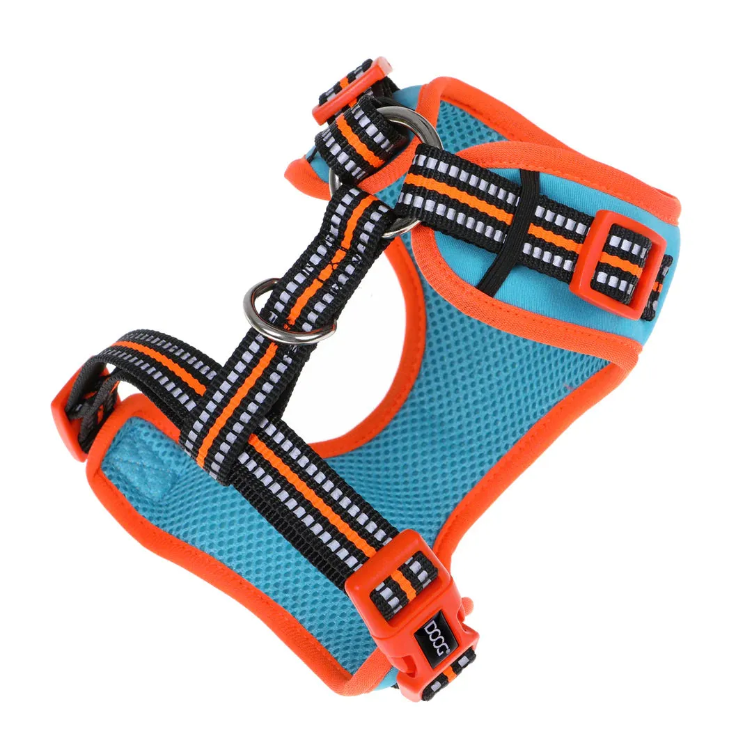 DOOG Neoflex Neoprene Beethoven Neon Blue and Orange Dog Harness Small